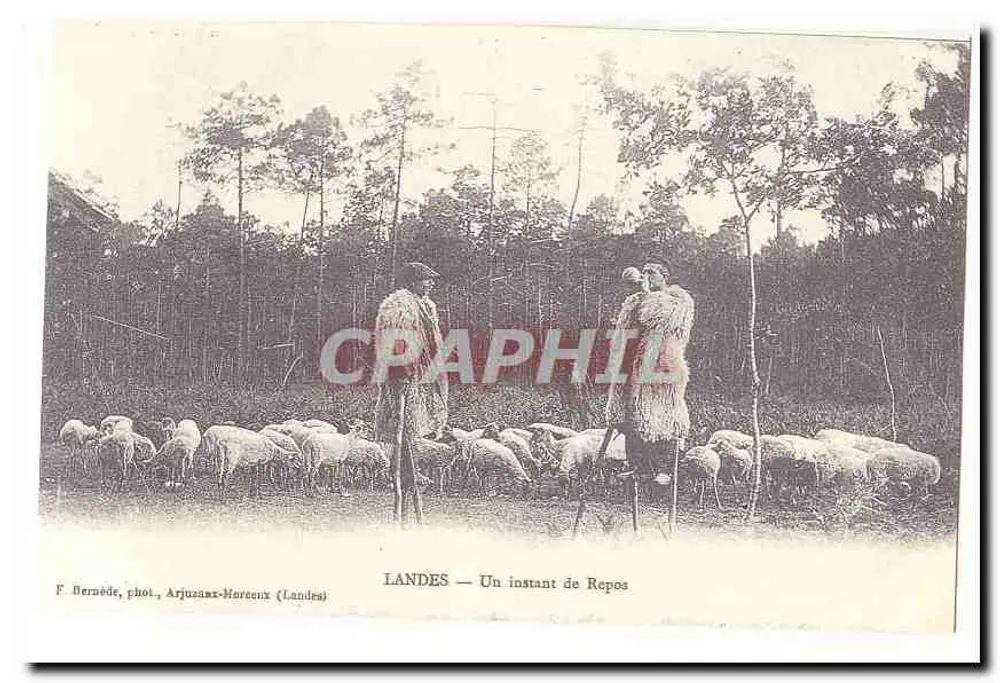 Landes — Ein Moment der Ruhe — F. Bernède, phot., Arjuzanx-Horeaux (Landes) - Vorderseite