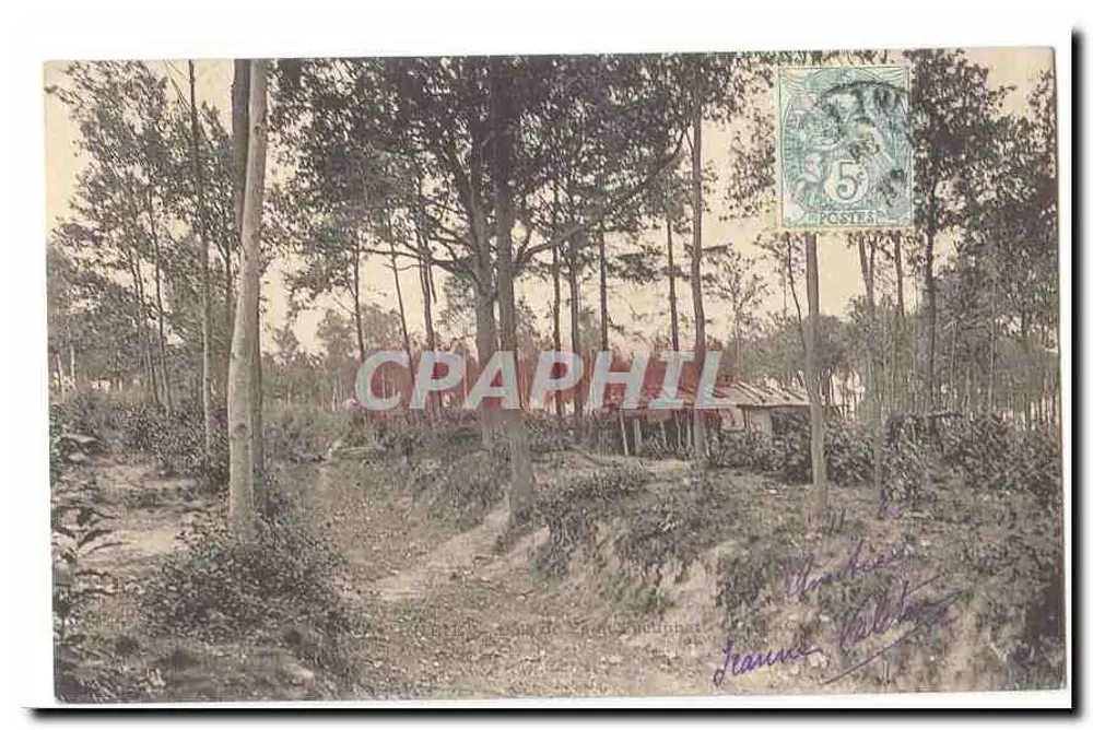 Floresta de pinheiros — vista da estrada de Saint-Émilion — editor não identificado - Frente