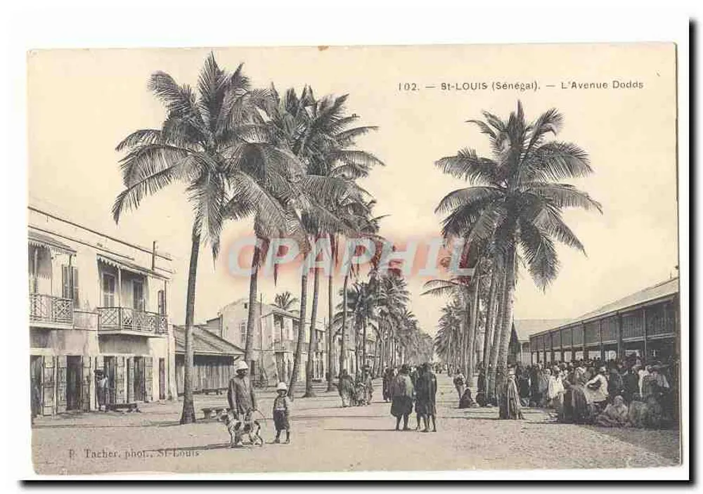St-Louis (Senegal) — A Avenida Dodds — P. Tacher fot. St-Louis - Frente