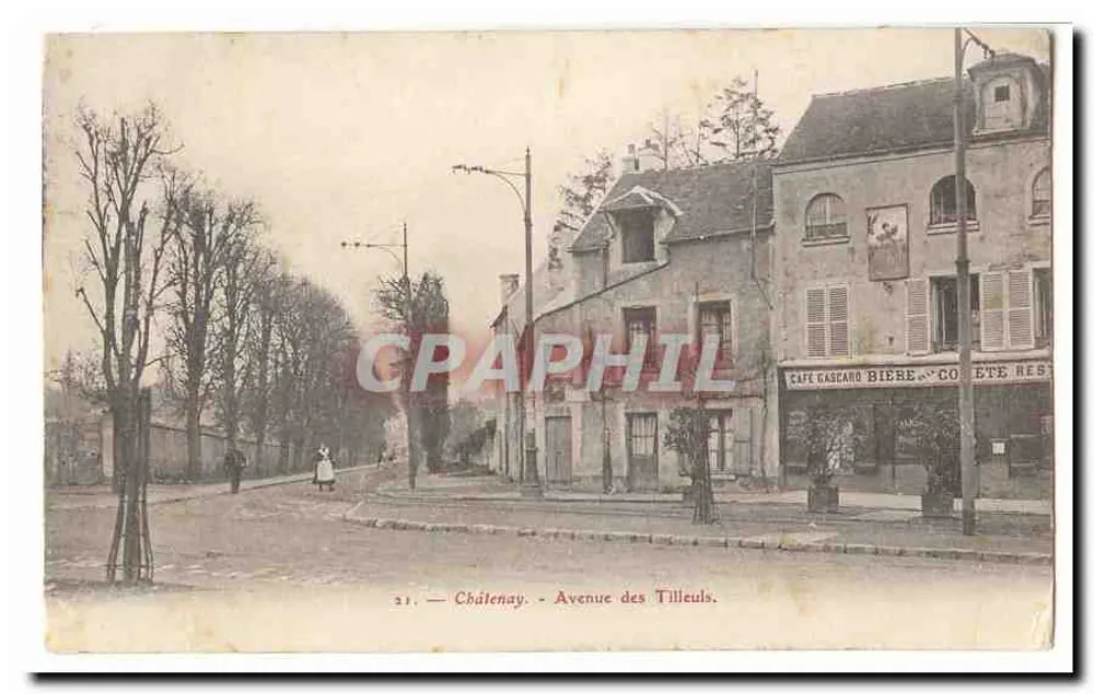 Châtenay — Avenida dos Tilleuls — n° 31 - Frente