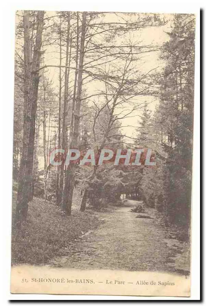 St-Honoré-les-Bains — Der Park — Kiefernallee - Vorderseite