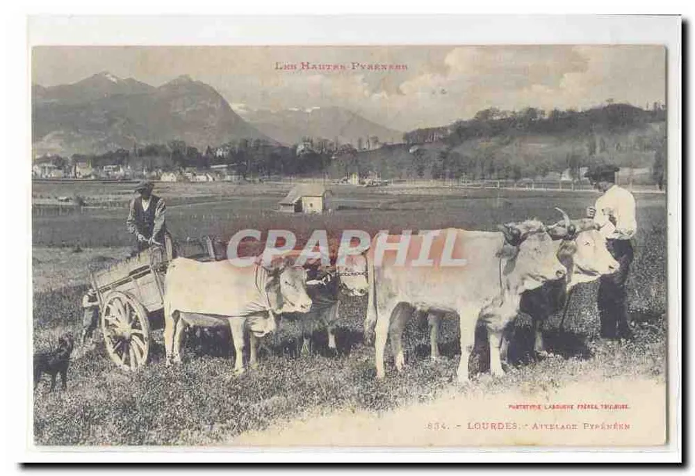 Lourdes - Carroça pirineia — Portet-type Laroque Frères, n° 834 - Frente