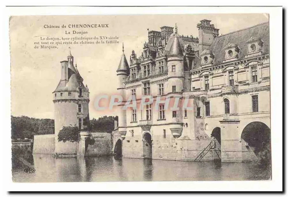 Castelo de Chenonceaux — O Donjon, torre cilíndrica do século XV - Frente