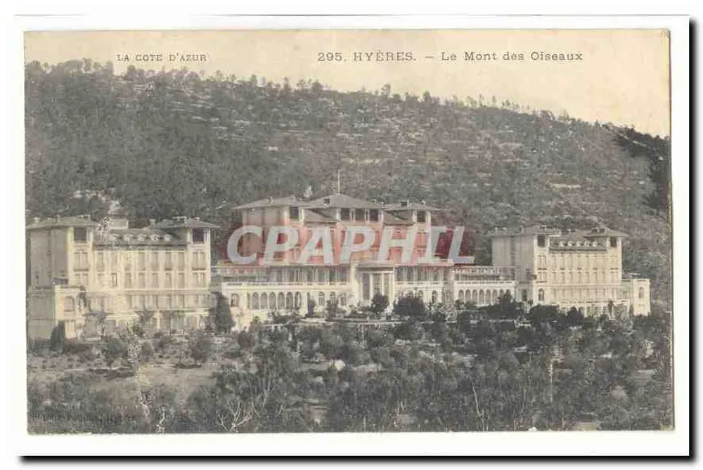 Hyères — O Monte dos Pássaros — Editor La Côte d'Azur, n° 295 - Frente