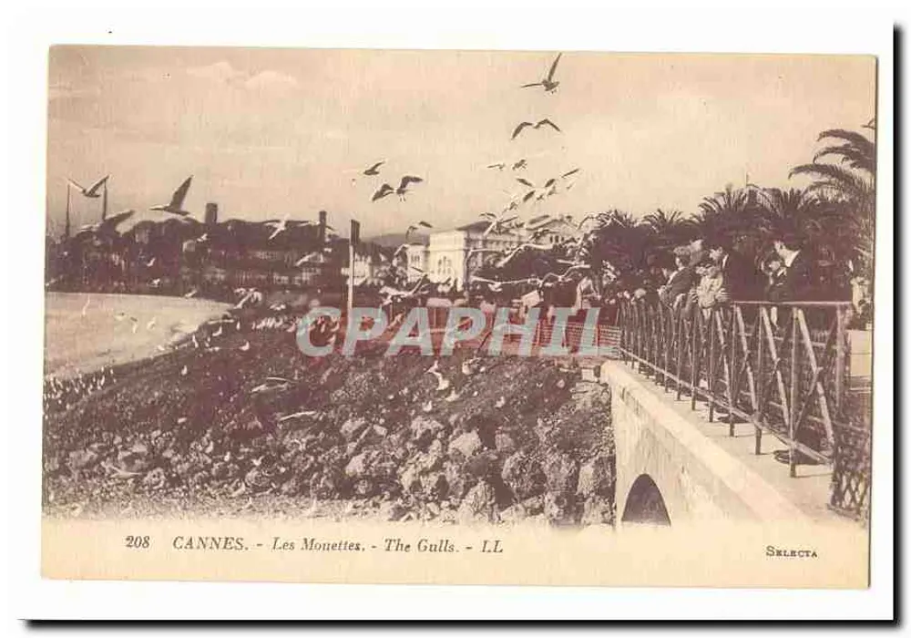 CANNES. - Les Monettes. - The Gulls. - LL. - Selecta - n°208 - Frente