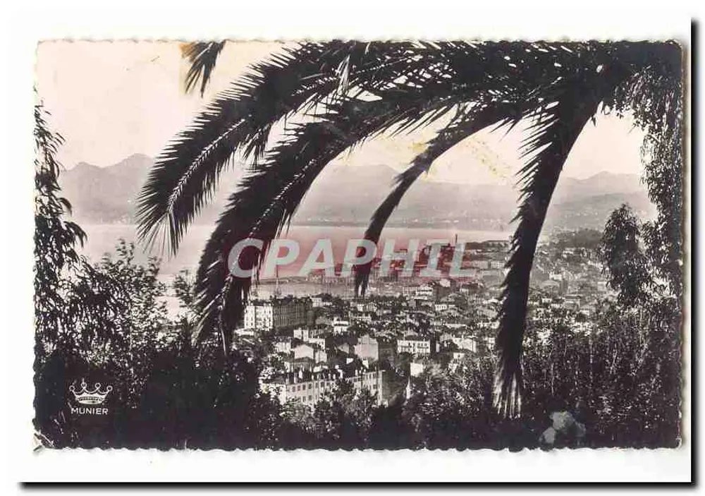 Ansicht der Stadt Nice — Ansicht von einem hohen Punkt mit Palmen im Vordergrund — Verlag Munier - Vorderseite