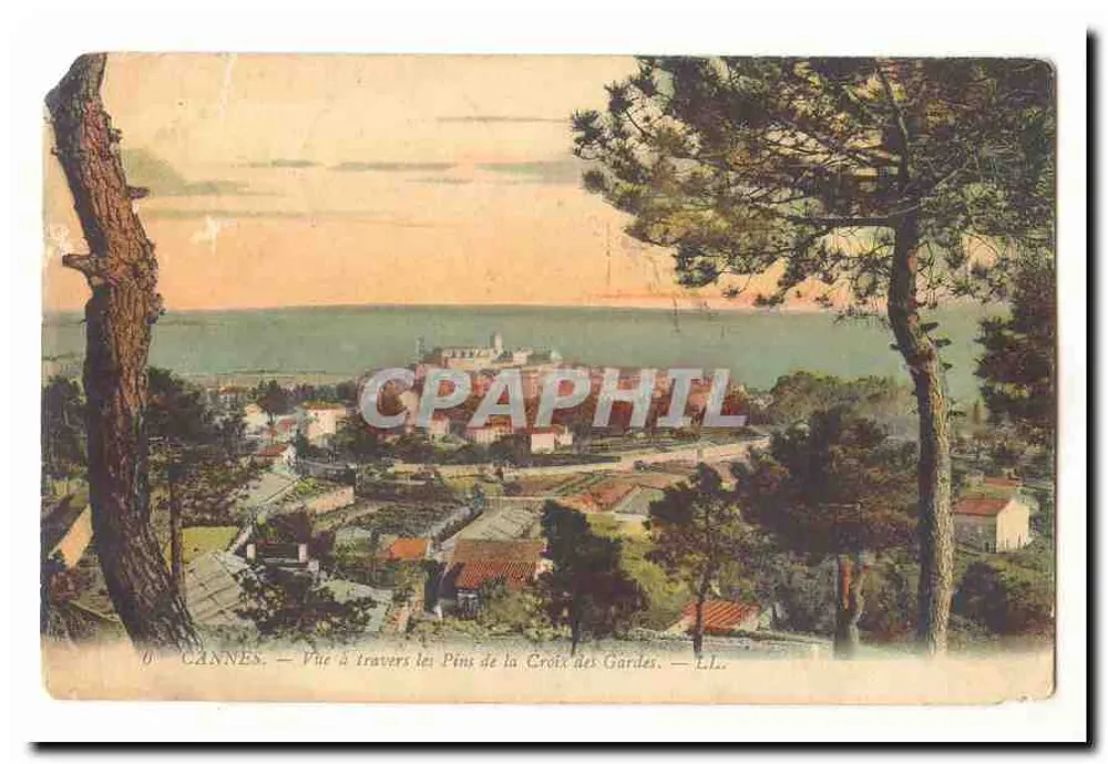 CANNES — Blick durch die Kiefern von La Croix des Gardes — LL. - Vorderseite