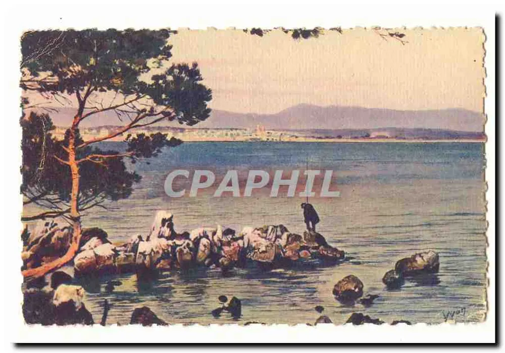 Vista do mar com pinheiro — editor W. Woy, número de série não visível - Frente