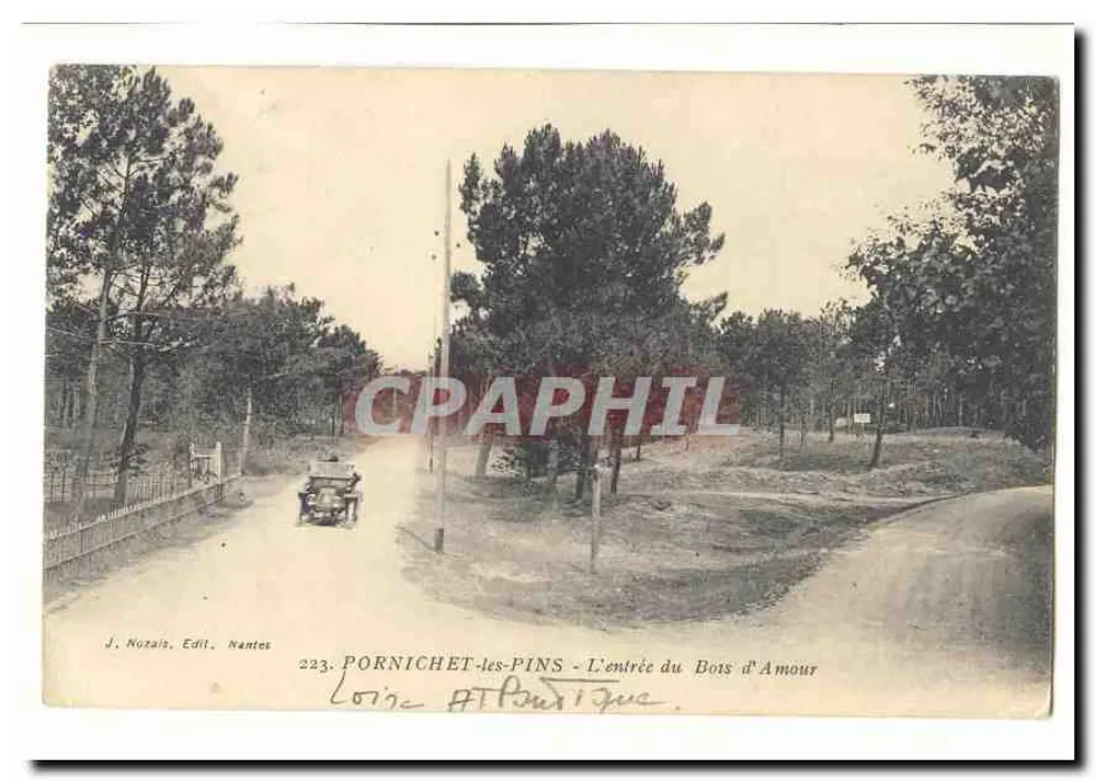 Pornichet-les-Pins — Der Eingang zum Bois d'Amour — J. Nozais, Edil, Nantes, n°223 - Vorderseite