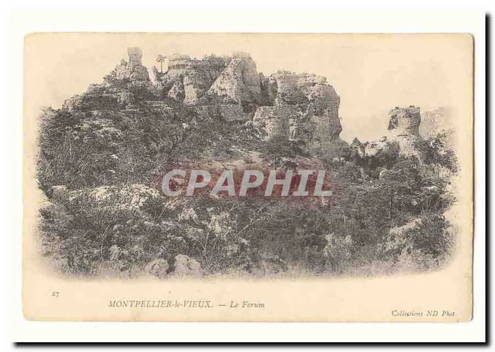 Montpellier-le-Vieux — Il Foro — Collezioni ND Phot, n°47 - Recto