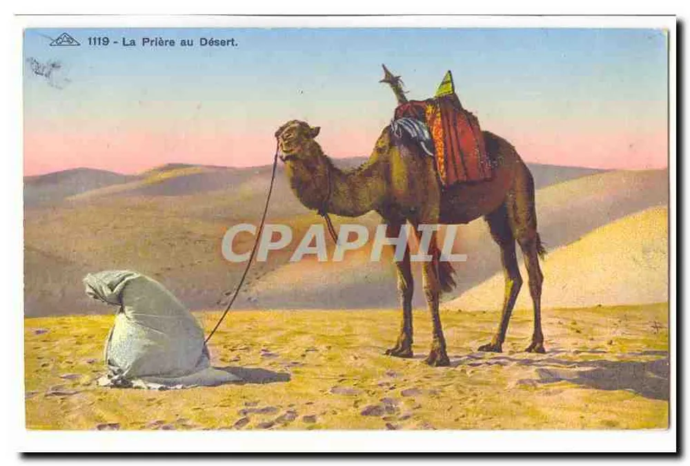 A Oração no Deserto — Bilhete postal antigo 1119 — editor não visível - Frente