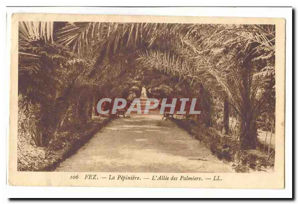 Fez — Die Zuchtstation — Die Palmenallee — LL. — n° 106 - Vorderseite