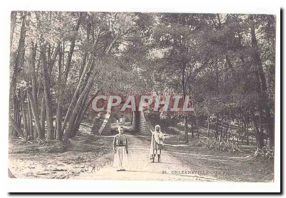 Orléanville — La Pedraria — Verleger: J. Pedraria, Nr. 21 - Vorderseite