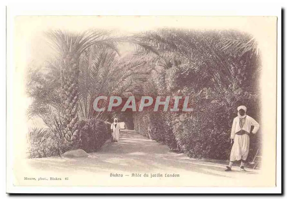 Biskra — Allée du jardin Candon — Maure, phot., Biskra 67 - Recto