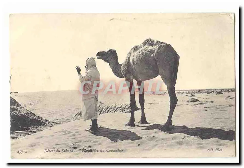 Wüste Sabara — Verlag des Chamäleons — ND Phot - Vorderseite