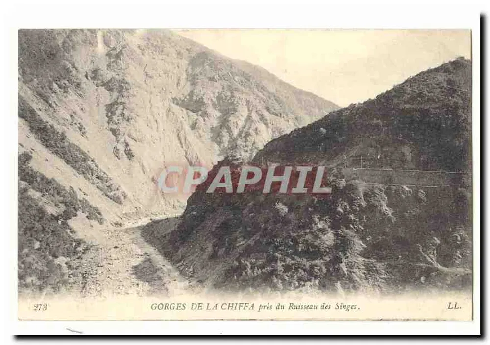 Gorges de la Chiffa in der Nähe des Ruisseau des Singes — LL. n° 273 - Vorderseite