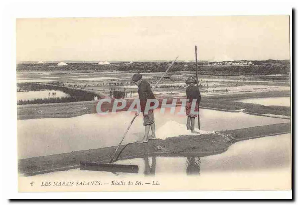 Os Marais Salants — Colheita do Sal — LL. - Frente
