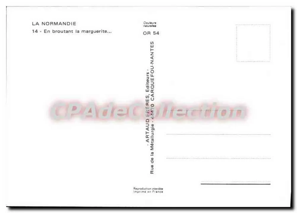 Paisagem rural normanda — vacas sob cerejeiras em flor — CPAdeCollection - Verso