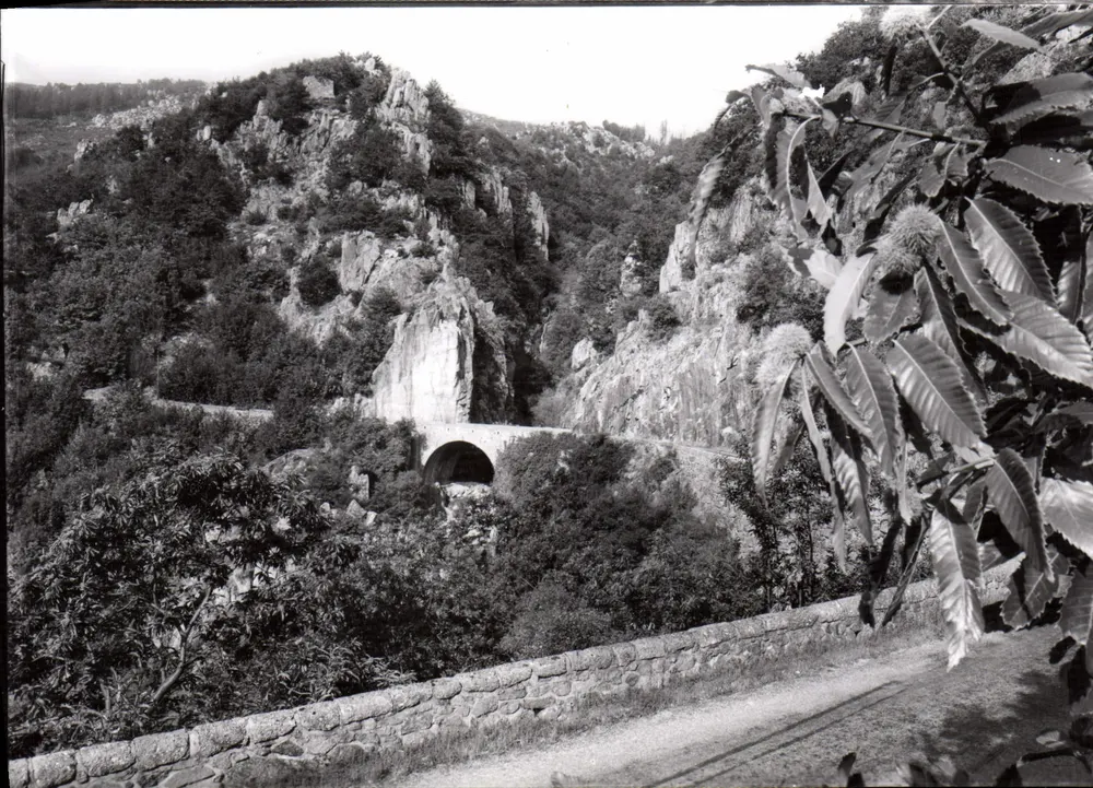 Le Pont de la Chèvre — Mont Aigoual (Gard) — Éditions Magenta, Lyon-Villeurbanne - Frente