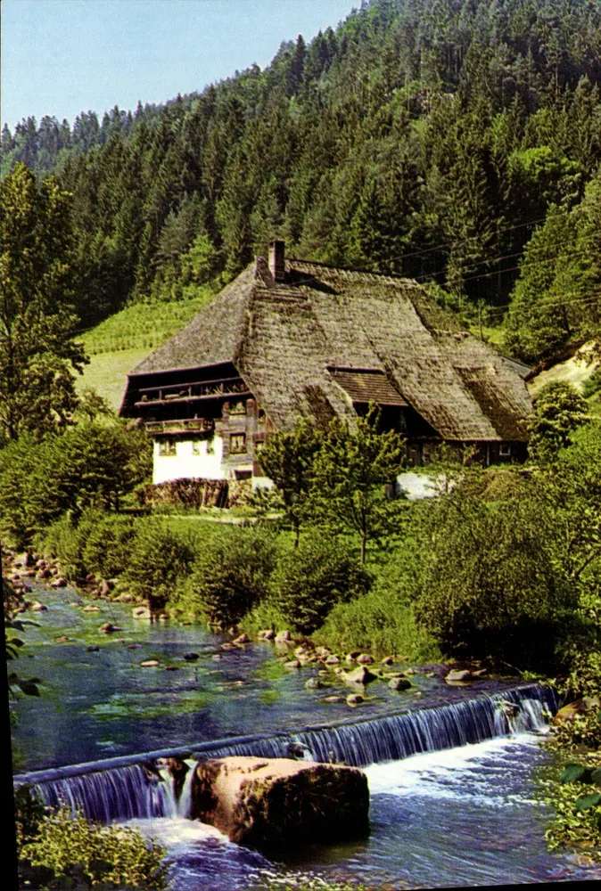 Schwarzwaldhaus — Ansicht des Flusses — Bodan, Serie 100-11 - Vorderseite
