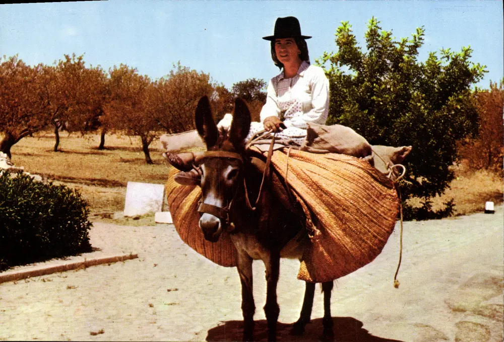 Mulher a cavalo em um jumento — Algarve — Cesar de SA, n.º 272 - Frente
