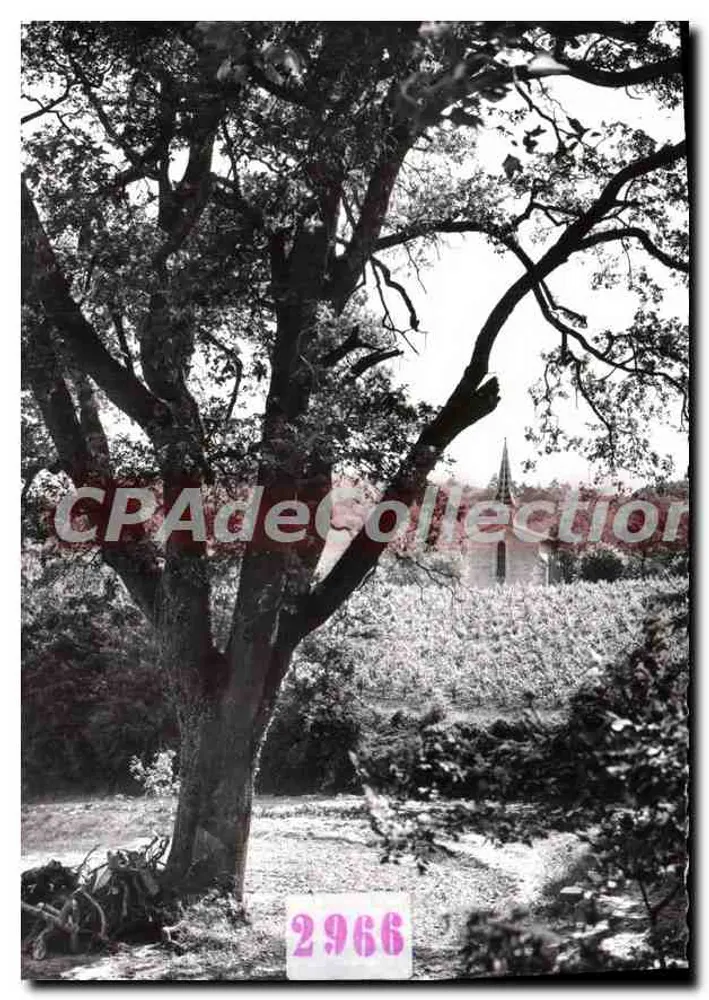 Chapelle Saint Jean — Ansicht von einem großen Baum — Collection de la Chartreuse de Valbonne (Gard) n° 2.966 - Vorderseite