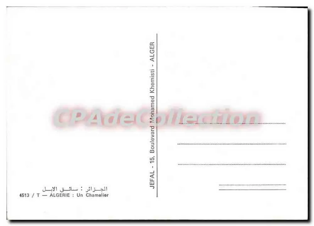 Argélia: Um Camelo — Camelo e pastor — Boulevarde Mohamed Khemisti, série 4513 - Verso