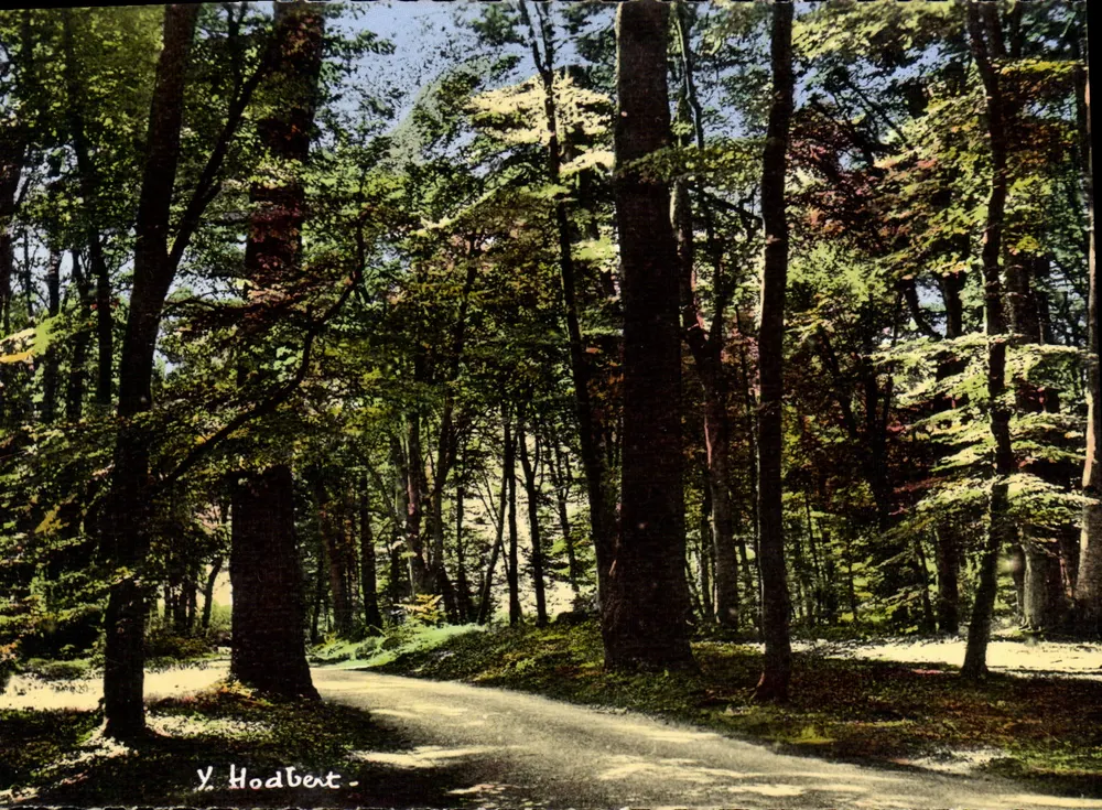 Bosque de Fontainebleau — Sobre la Ronda — Yves Hodbert - Anverso