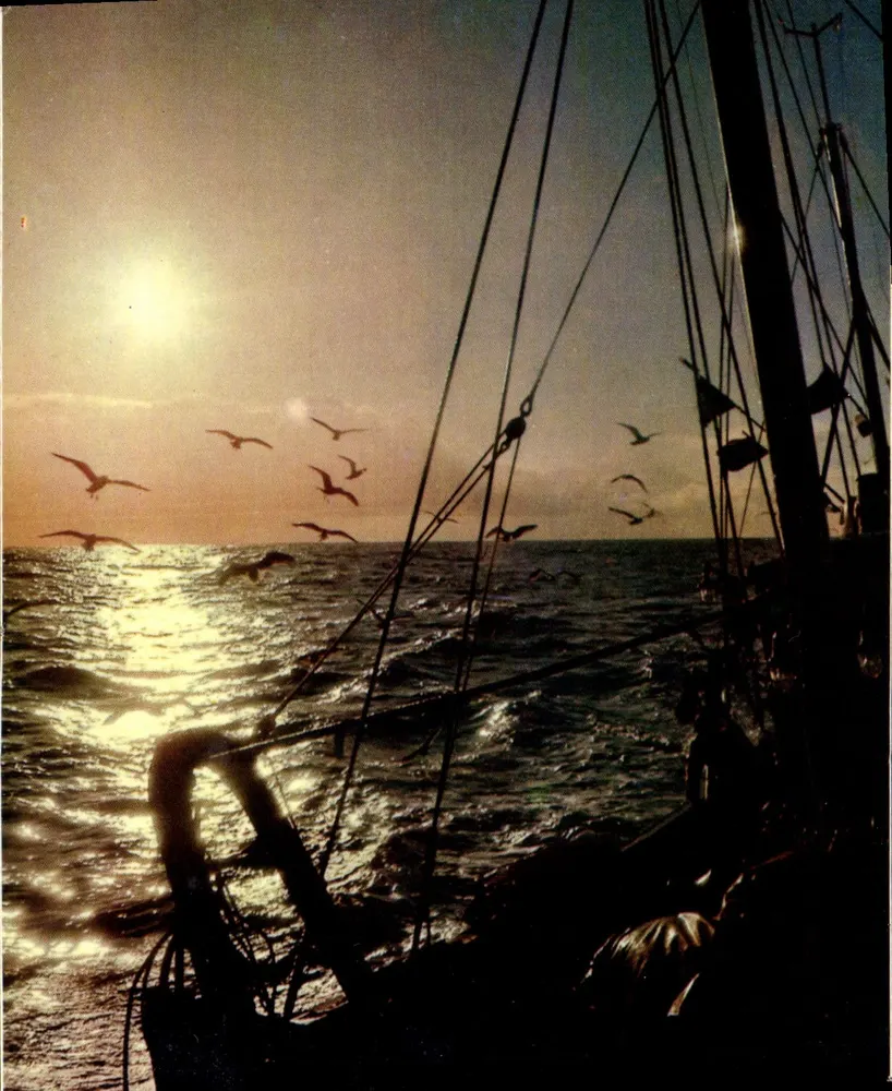 Pêche en mer — vue de bord d'un voilier au coucher du soleil — Éditions d'art Jean-Jaurès, Paris - Recto