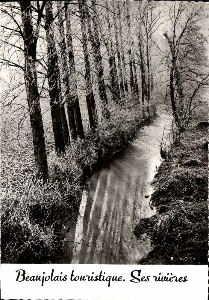 Touristischer Beaujolais. Seine Flüsse — R. MOISY - Vorderseite