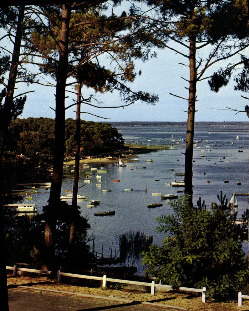 Bassin d'Arcachon — Veduta sul Bassin — Élécolor - Recto