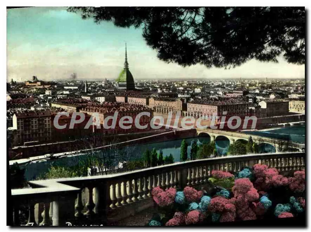 Torino — Panorama — Éd. G. Cambursano, n°40 - Recto