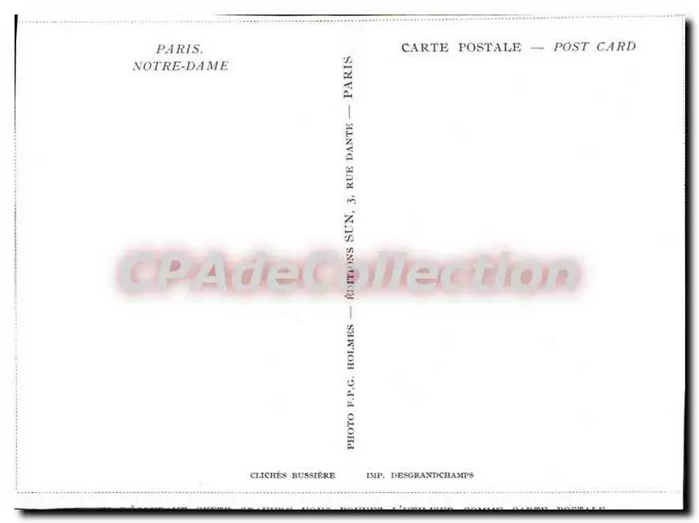 Notre-Dame de Paris — Ansicht eingerahmt von Bäumen — Éditions Holmes - Rückseite