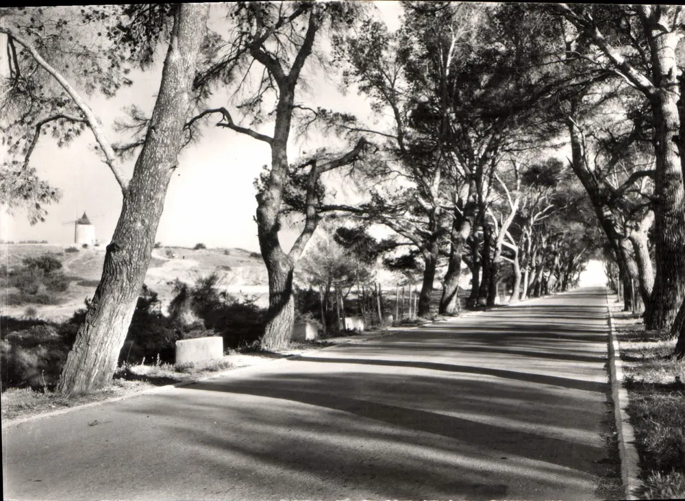 Fontvieille - Pinienallee und Mühle von Daudet — Les Éditions F. Cellard - Vorderseite