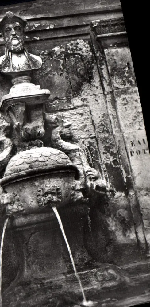 Fontaine Nostradamus — Saint Remy de Provence — Les Éditions de l'Économie - Vorderseite