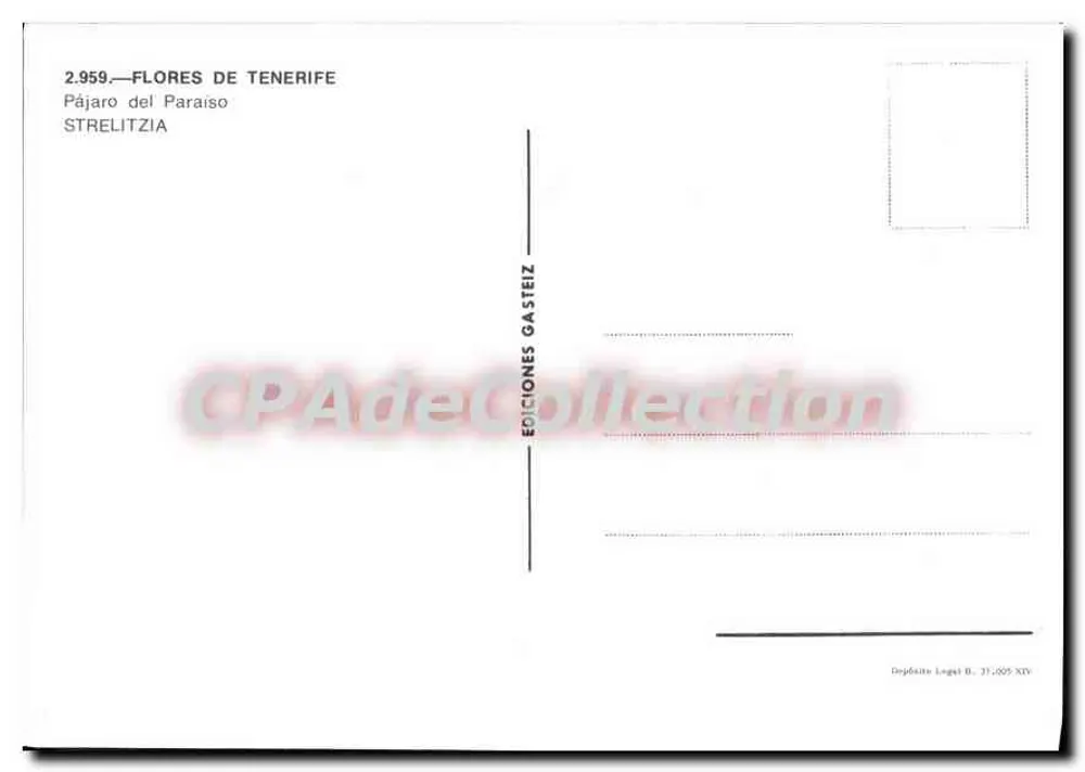 Strelitzia — FLORES DE TENERIFE — Éditions Gasteiz n°2.959 - Rückseite