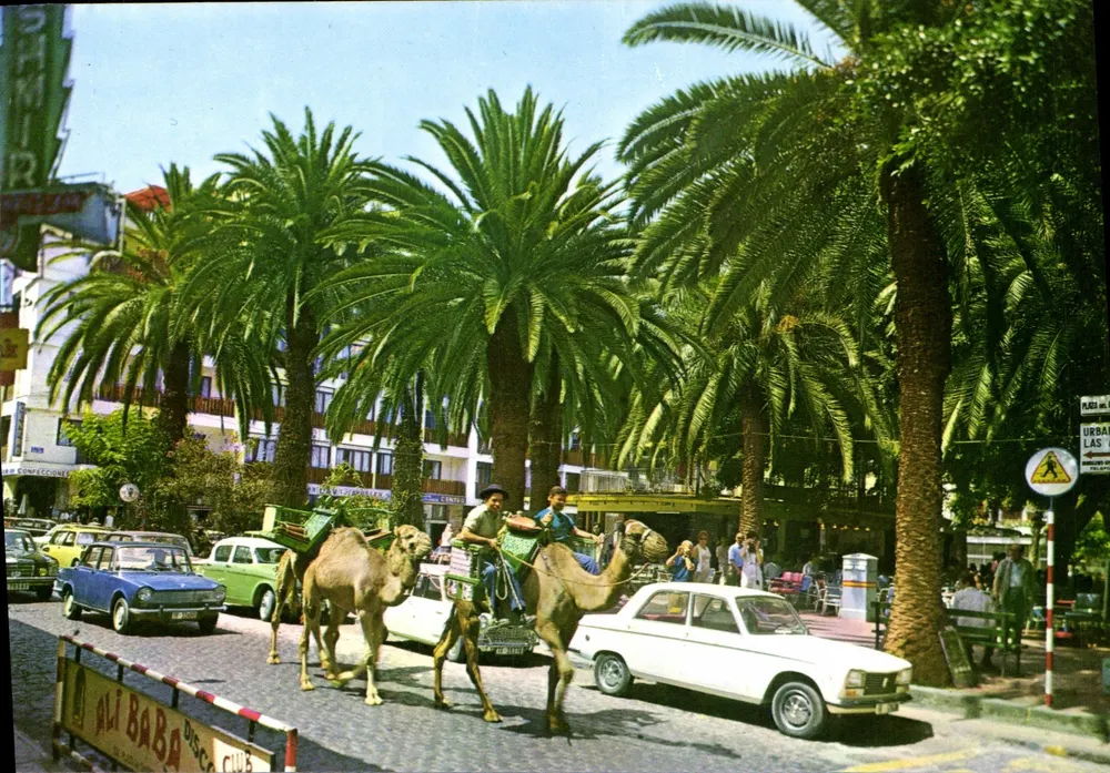Puerto de la Cruz — Plaza del Charco — Editionen Anibarro - Vorderseite
