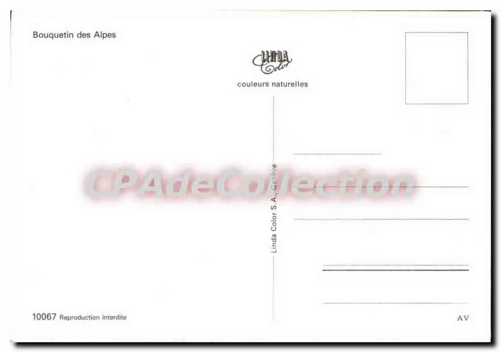 Bouquetin des Alpes — Marcel Proust (1871-1922) — Linda Color S.A. - 10067 - Verso