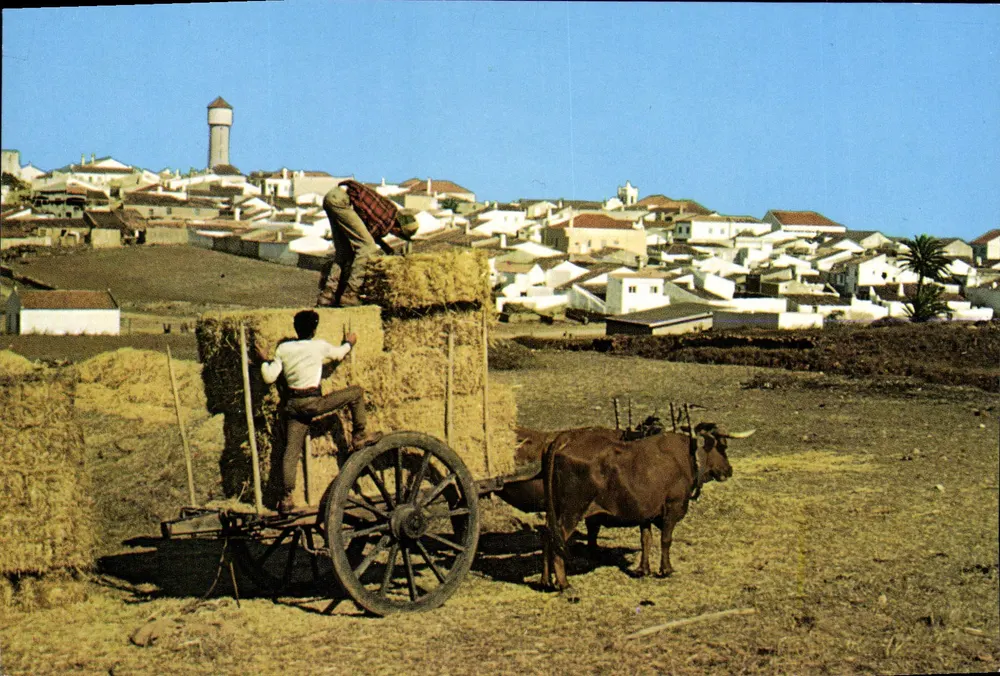 Vila do Bispo — Holzwagen — César de Sá, Nr. 196 - Vorderseite