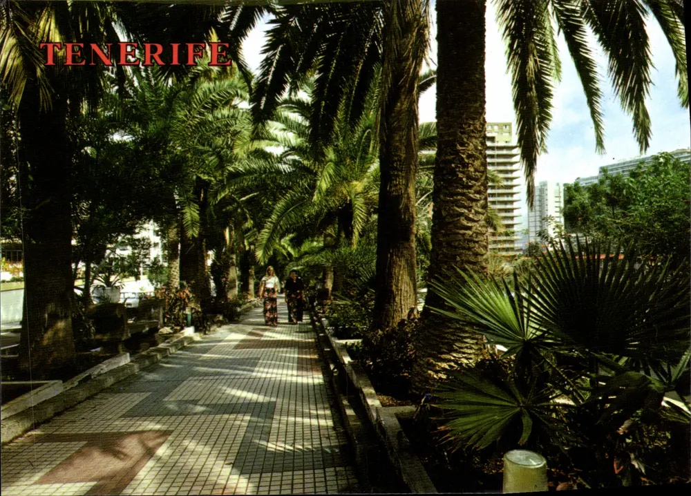 Paseo de Las Palmeras — Puerto de la Cruz (Tenerife) — Perla, Collectie Perla - Voorkant