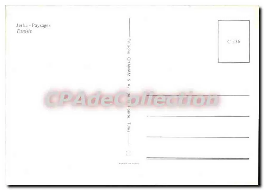 Jérba - Paysages — Tunisie — Éditions CHAMAMAY, n° C 236 - Verso