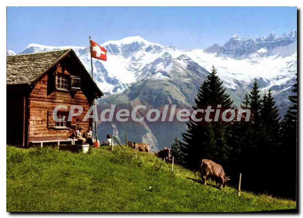 Elm - Empächialp - Piz Segnés - Tschingelhörner — Foto y Verlag Werner Fridi, Brütisellen ZH, n° 6958 - Anverso