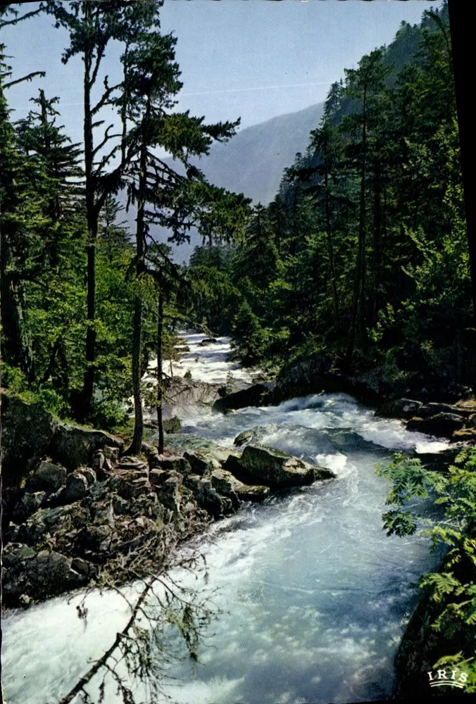 Gave Pyrénée — View of the River in the Forest — Éditions Limoges - Front