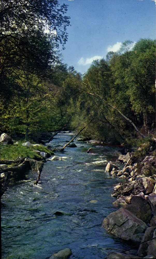 Rivière d'Argent — Sornac — Éditions C.P. Théoujac - Recto