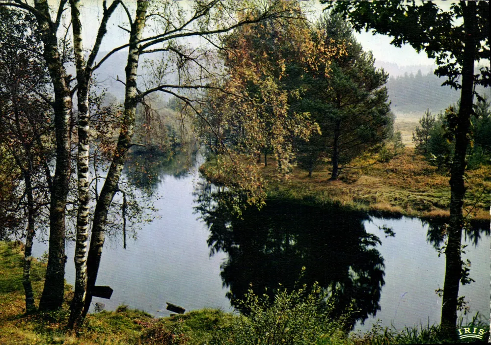 Herbstmorgen an der Vézère — pittoreskes Limousin — Éditions MEXICHROME n°19/138 - Vorderseite