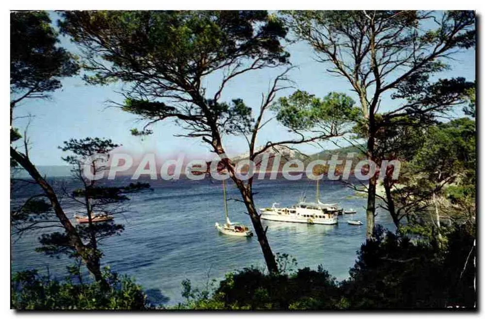 Pinheirais e Colanques — Reflexos da Costa Azul — Edições DROMI - Frente