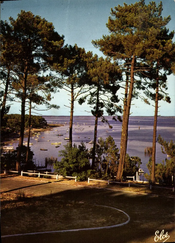 Bassin d'Arcachon — Ansicht des Bassins — Verleger Elcée, Nr. 237 - Vorderseite