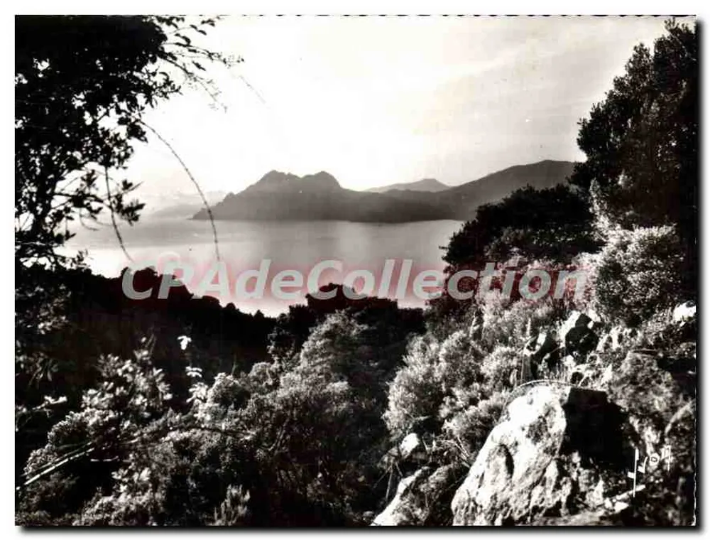Vista do lago da Córsega — Porto (Córsega) — CPAdeCollection - Frente