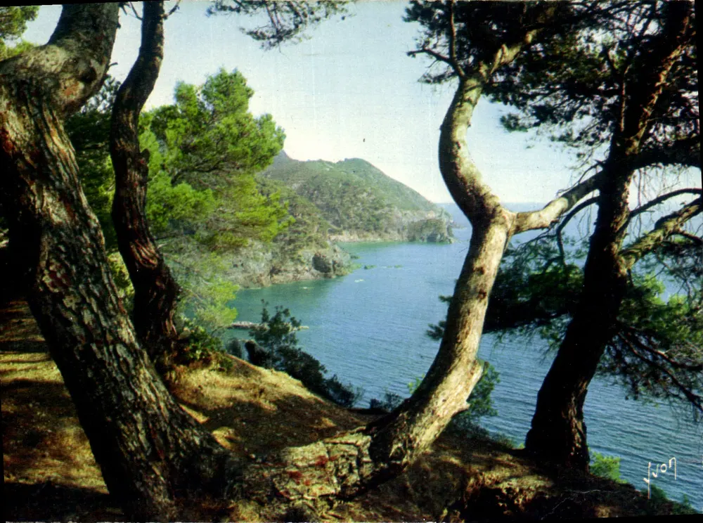 Ansicht der Côte d'Azur — varoisches Landschaftsbild — Éditions Yvon, Nr. 31 - Vorderseite