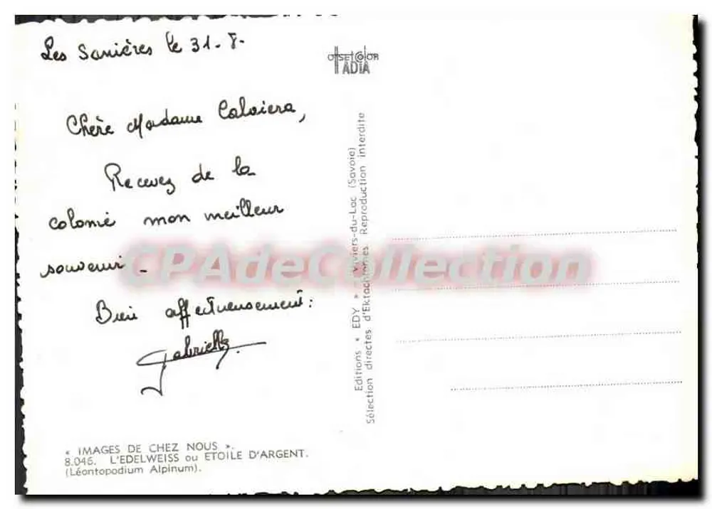 Alpes - Flores de Edelweiss — Editor Edy, n°8.046 - Reverso